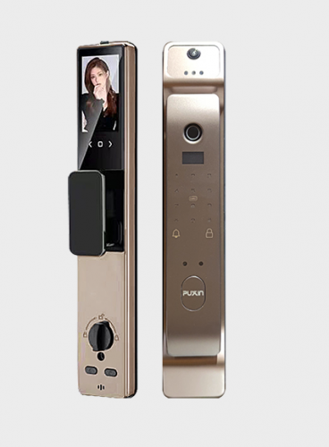 FL-101人脸识别智能指纹锁 (摩卡金)